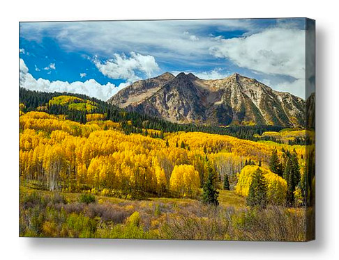 Colorado Rocky Mountain Fall Foliage Canvas Print