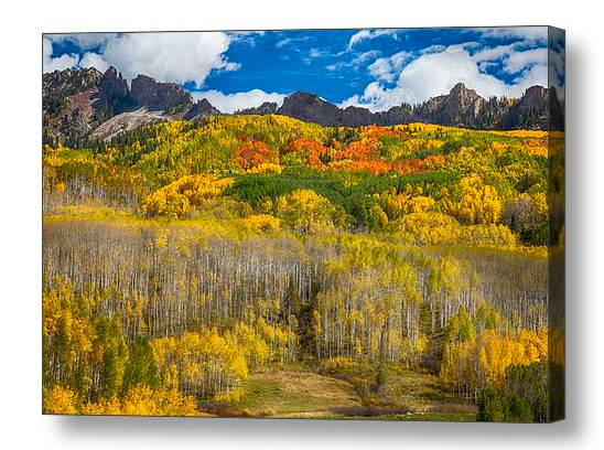 "Colorful Colorado Kebler Pass Fall Foliage " by James BO Insogna printed on premium canvas and stretched on 1.5" x 1.5" stretcher bars (gallery wrap) or 5/8" x 5/8" stretcher bars (museum wrap). Ships within 3 - 4 business days and arrives ready-to-hang with pre-attached hanging wire, mounting hooks, and nails. Choose from multiple print sizes, border colors, canvas materials, and frames.
