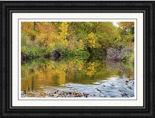 A Time For Reflections Framed Art Print