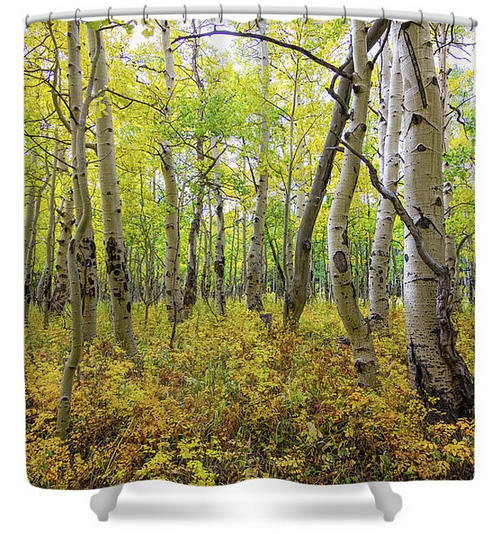 Golden Forest Bed Shower Curtain