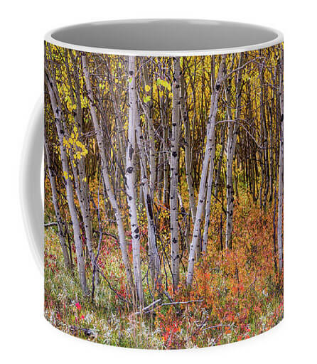 Wonderful Woods Wonderland Coffee Mug