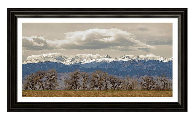 Cottonwood Trees Rocky Mountain View Framed Print