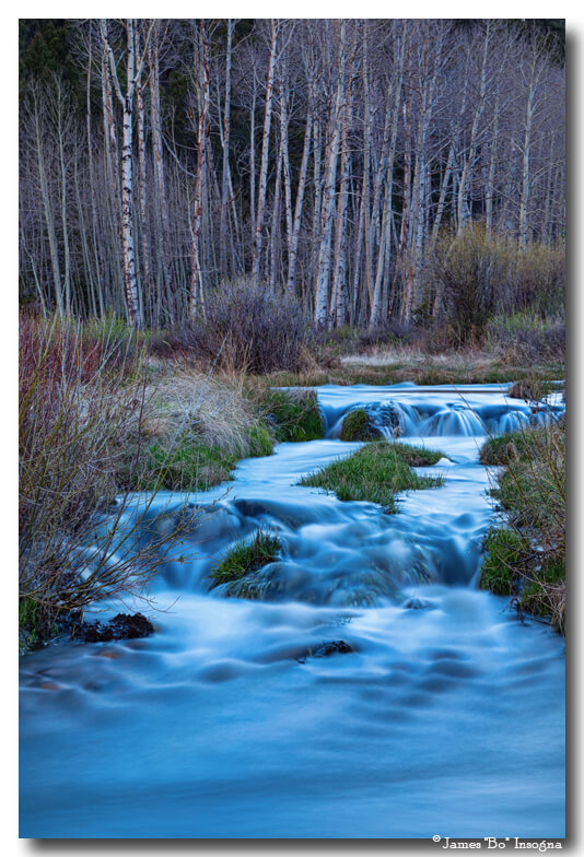Blue Hour Nature Streaming Art Prints