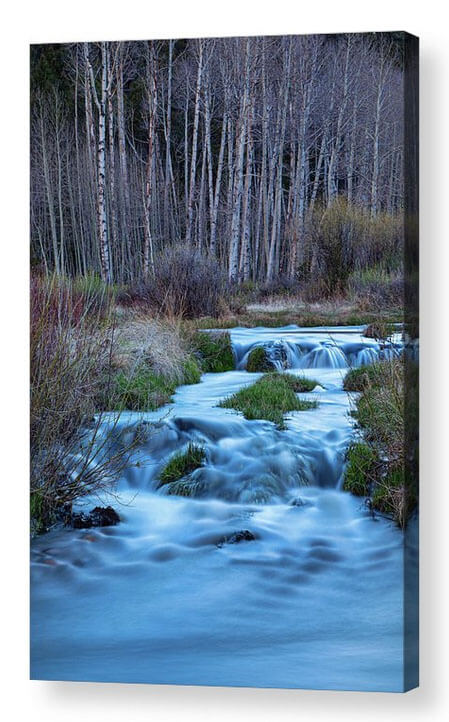 Blue Hour Nature Streaming Acrylic Prints