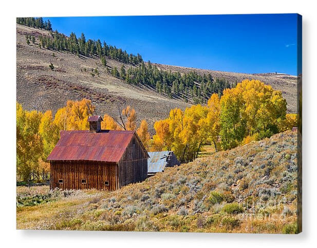 Colorado Rustic Rural Barn With Autumn Colors Acrylic Print