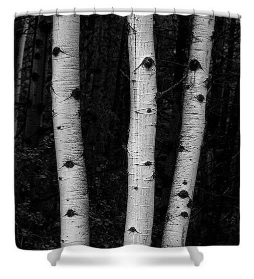 Black and White Aspen Forest Shower Curtain