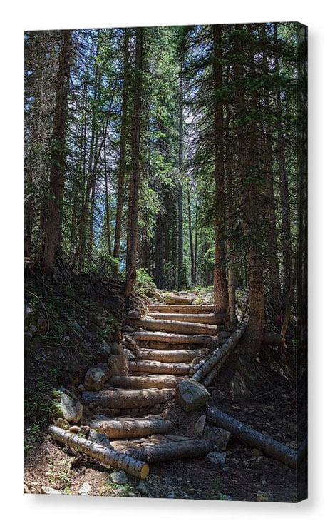 Another Stairway To Heaven Canvas Print