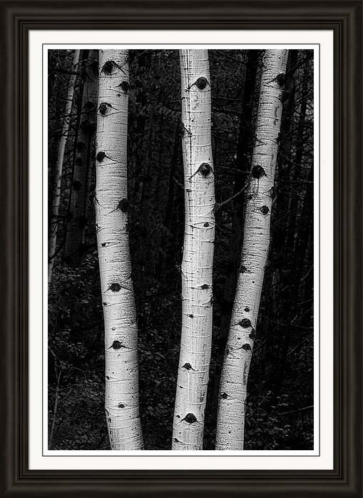 Nature_Coming_Out_Of_Darkness_Framed_Print