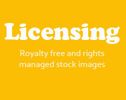Licensing Royalty free and rights managed stock images