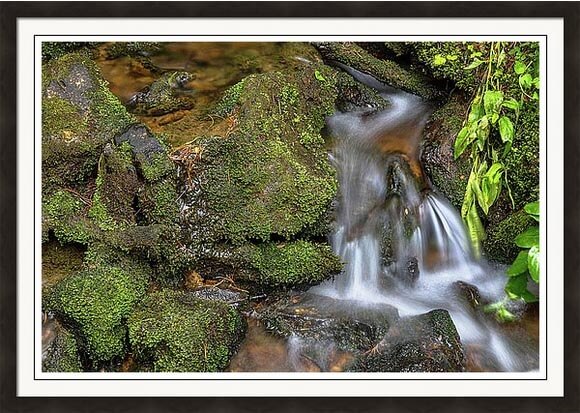 Green And Mossy Water Flow Framed Print