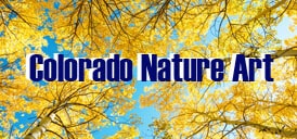 Colorado Nature Landscape Art Prints