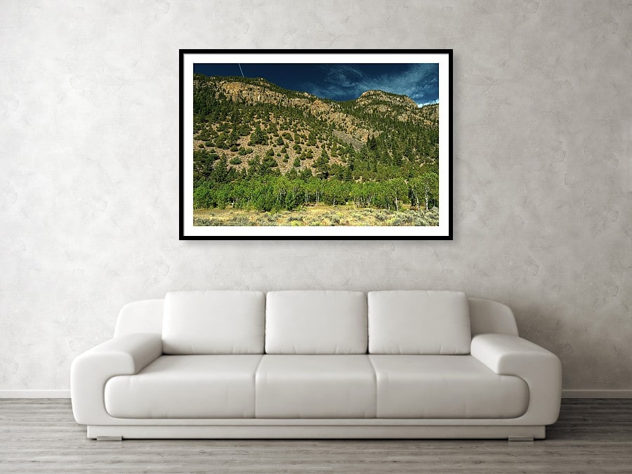 Beautiful Rocky Mountain Picnic Spot And Landscape Framed Print