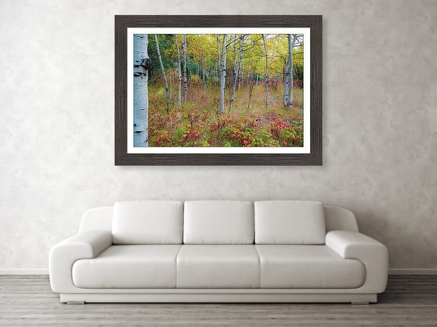 Fall Foliage Forest Delight Landscape Art Print
