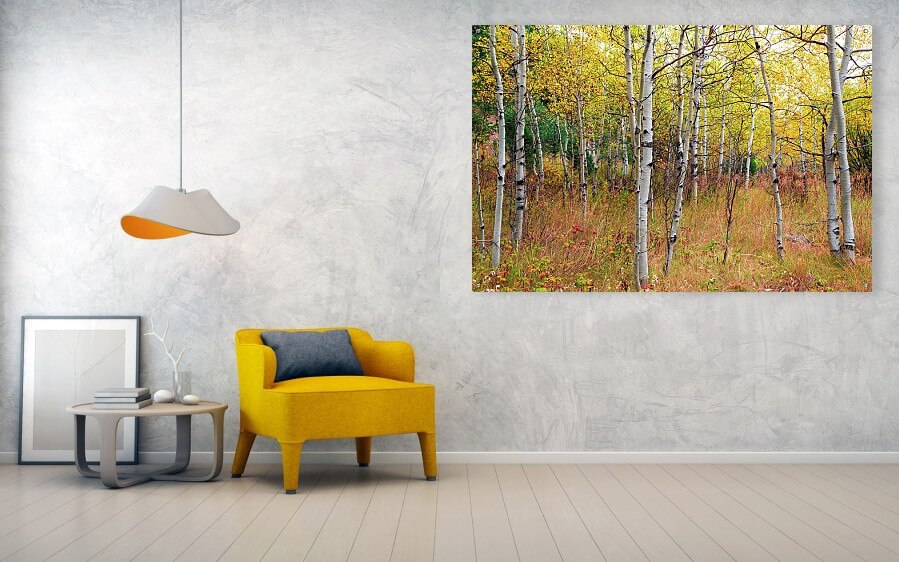 Happy Place In The Woods Acrylic Print
