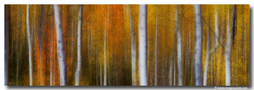 Forest Color Burst Modern Abstract 72x24 fine art print 