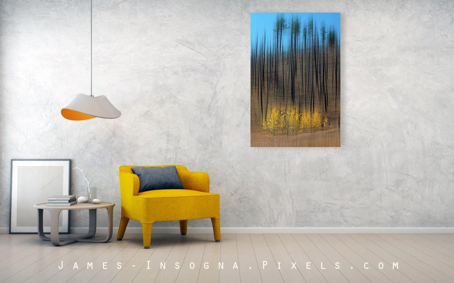 Aspen Forest Burnout Abstract Art Canvas Print 32"x48"