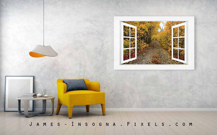 Colorful Trees Down the Drive White Open Window Frame View 60x40 Canvas Print 