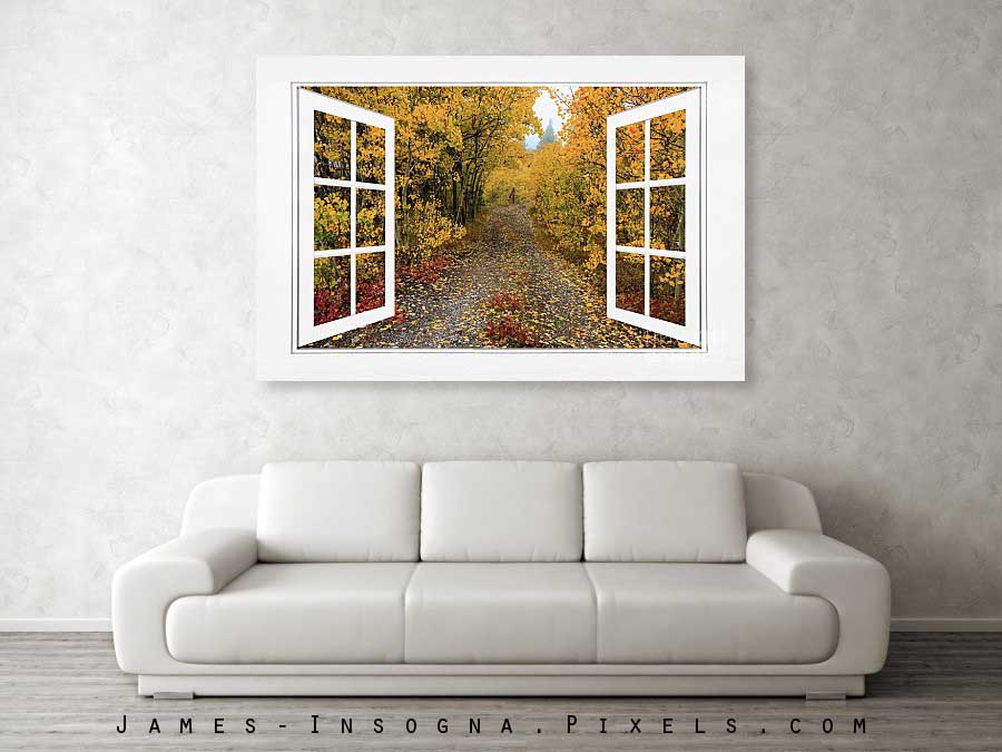 Colorful Trees Down the Drive White Open Window Frame View 60x40 Canvas Print 