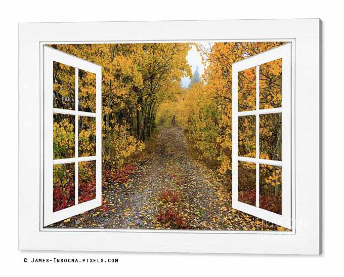 Colorful Trees Down the Drive White Open Window Frame View Canva