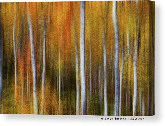 Forest Color Burst Modern Abstract Canvas Print
