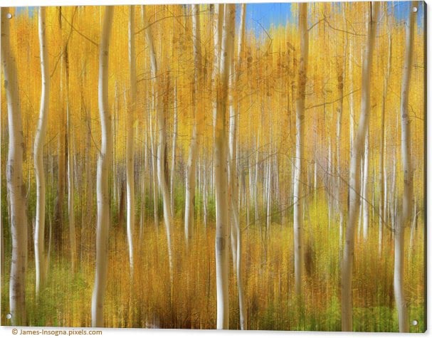 Golden Forest Moment Abstract Acrylic Print