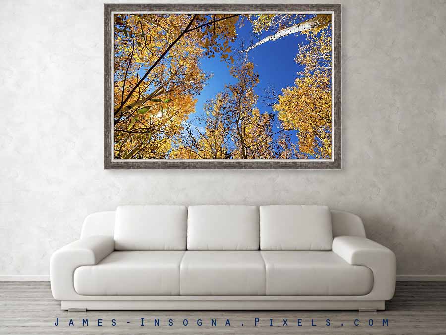 Blue Sky Autumn Bliss Framed Print 60x40