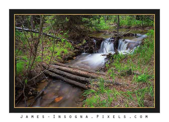 Creek Crossing In The Woods Framed Print