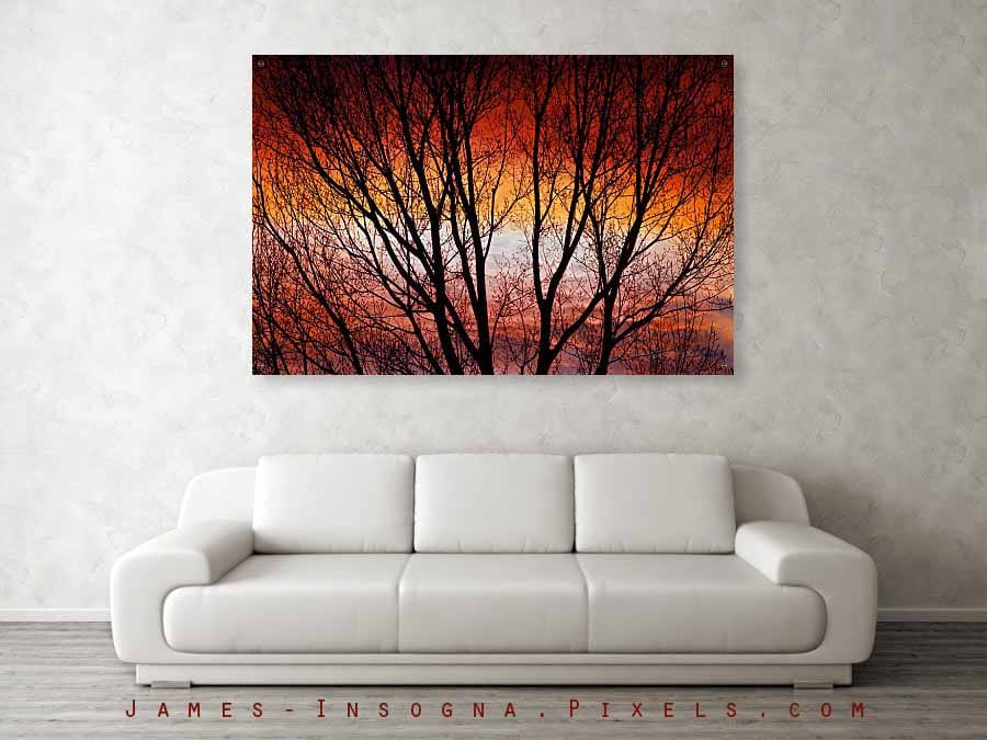 Rich Colorful Tree Branches 60x40 Acrylic Print  