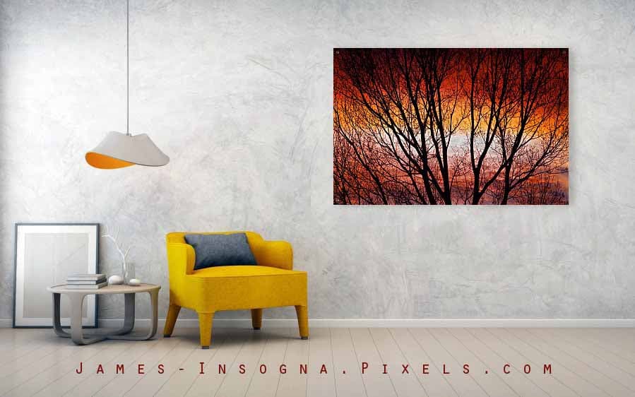 Rich Colorful Tree Branches 60x40 Acrylic Photography wall art