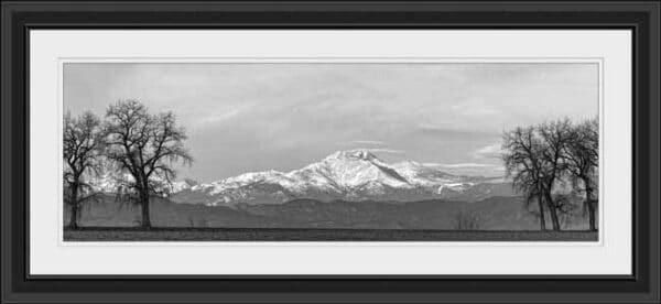Longs Peak Between The Trees 12x36 BW Panorama Framed Print