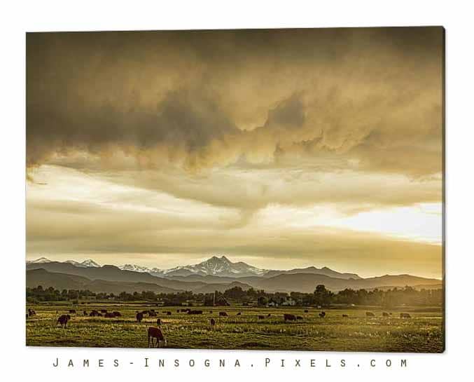 Colorado Western Grazing Canvas Print