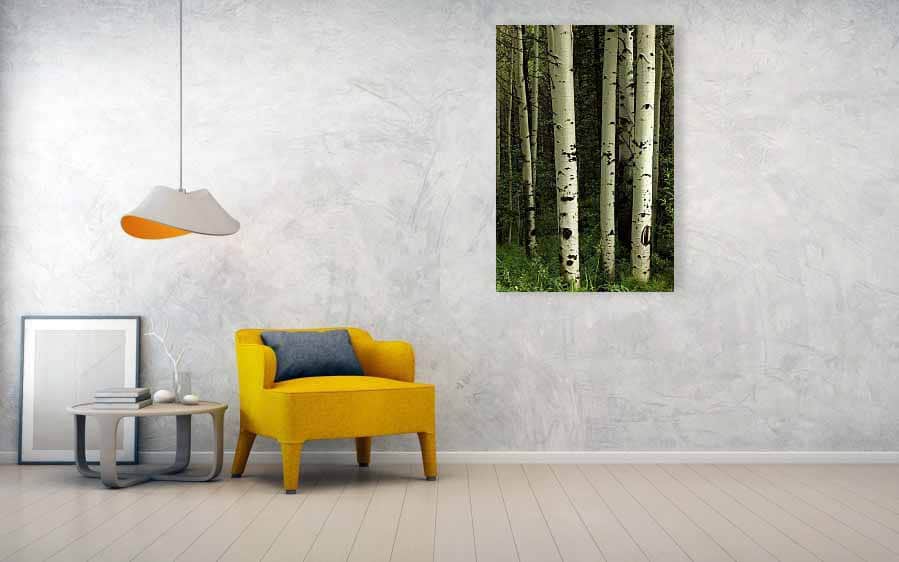 Texture Of A Forest 32x48 Canvas Print