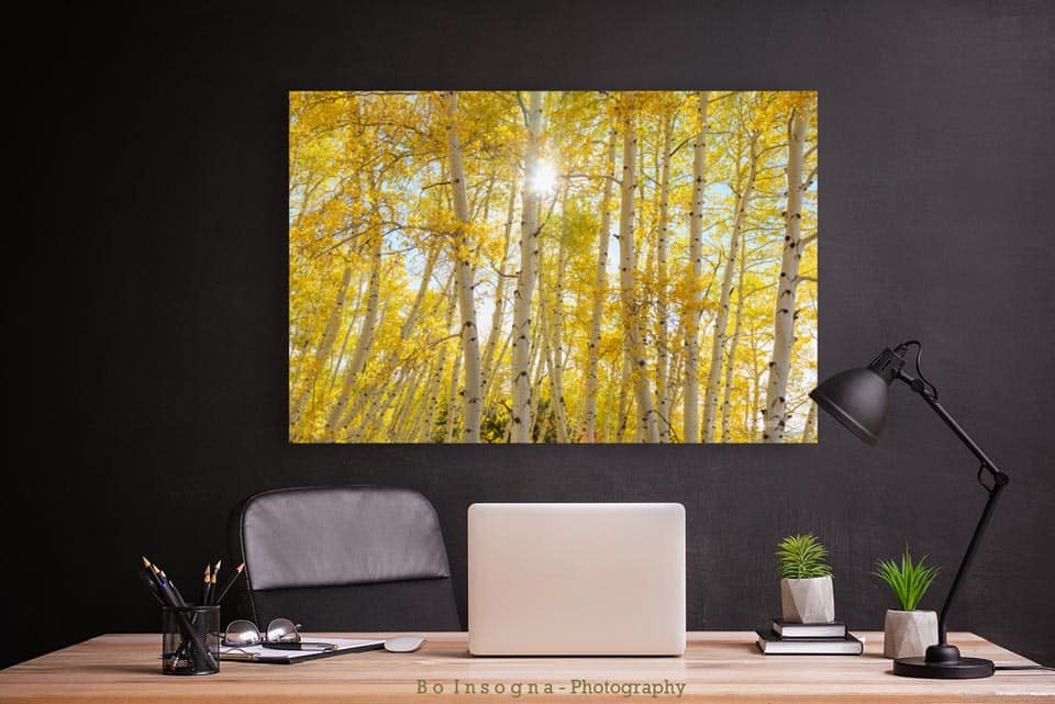 Golden Sunshine On An Autumn Day Office Decor Photography wall art