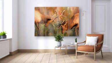 Bull Elk Sparring 72x47 Art Print Split