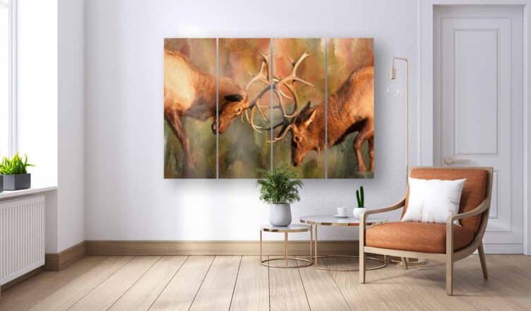 Bull Elk Sparring 72x47 Art Print Split